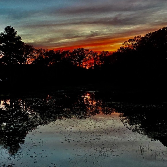 Canvases 8x10 $25 10x10 $40 any bigger $60 If you want anything’s pm me - Picture 5 of 16